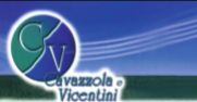 CAVAZZOLA E VICENTINI SRL